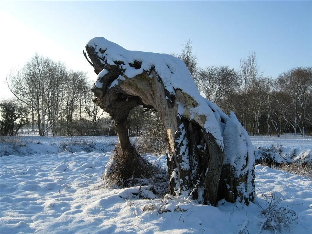 Ousel valley milton keynes 5